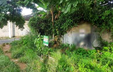 Imagem 4: Excelente oportunidade de terreno à venda na Vila Mangalot!