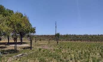 Imagem: CASA RESIDENCIAL em Uruguaiana - RS, BR