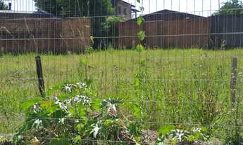 Imagem 5: TERRENO RESIDENCIAL em SÃO LEOPOLDO - RS, SCHARLAU