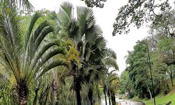 Imagem 4: TERRENO RESIDENCIAL em Itatiba - SP, CONDOMINIO VILLAGE DAS PALMEIRAS