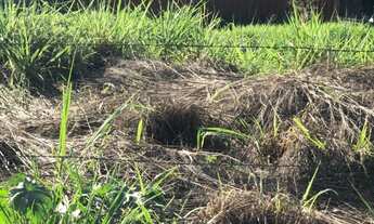 Imagem: 250M² de Área Total