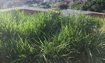 Imagem: 250M² de Área Total