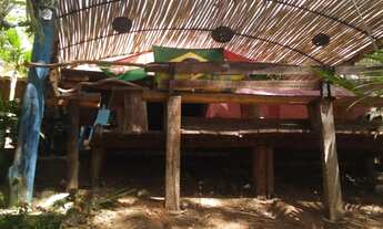 Imagem 2: SITIO COMERCIAL em Itatiba - SP, Rodovia Amparo Bragança