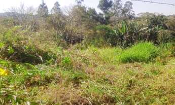 Imagem 3: 1000M² de Área Total