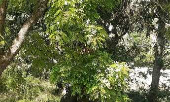 Imagem 7: TERRENO COMERCIAL em ITATIBA - SP, JARDIM ESPLANADA