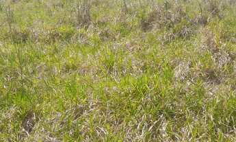 Imagem 5: AREA RESIDENCIAL em MORUNGABA - SP, MORUNGABA