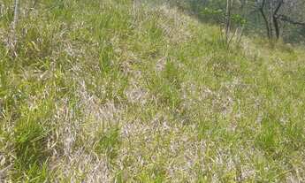 Imagem 4: AREA RESIDENCIAL em MORUNGABA - SP, MORUNGABA