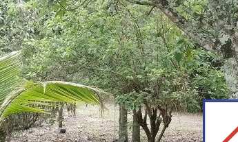 Imagem 4: CHACARA RESIDENCIAL em ITATIBA - SP, REAL PARQUE DOM PEDRO I