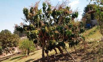 Imagem 5: 2 dormitórios, 2 vagas na garagem