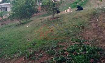 Imagem: 2 dormitórios, 2 vagas na garagem