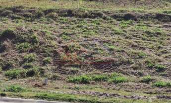 Imagem: 260M² de Área Total