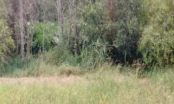 Imagem 7: CHACARA RESIDENCIAL em Itatiba - SP, BAIRRO MORRO AZUL