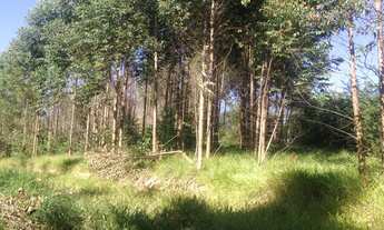 Imagem: 312000M² de Área Construída