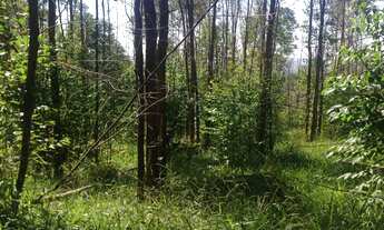 Imagem 2: 312000M² de Área Construída