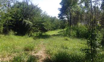 Imagem 3: 312000M² de Área Construída