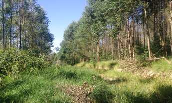 Imagem 4: 312000M² de Área Construída