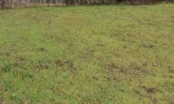 Imagem: 450M² de Área Total