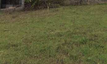 Imagem: 450M² de Área Total