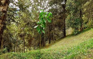 Imagem 2: TERRENO RESIDENCIAL em Itatiaia - RJ, Escorrega