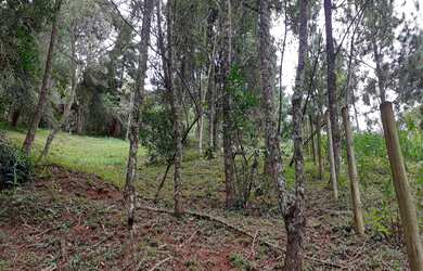 Imagem 3: TERRENO RESIDENCIAL em Itatiaia - RJ, Escorrega