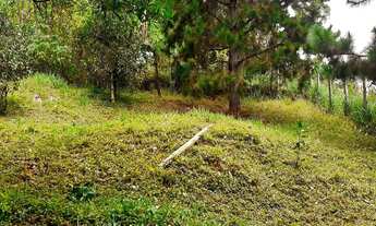 Imagem 7: TERRENO RESIDENCIAL em Itatiaia - RJ, Escorrega