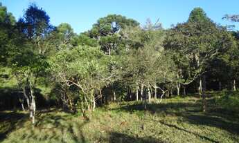 Imagem: TERRENO RESIDENCIAL em Resende - RJ, Visconde