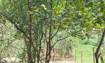 Imagem 7: TERRENO RESIDENCIAL em Bocaina de Minas - MG, Jardim Iracema - Visconde de Mauá