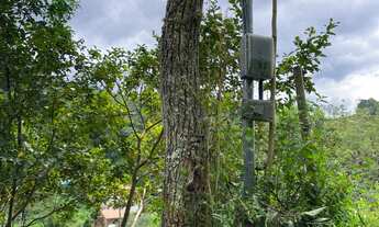 Imagem 3: TERRENO RESIDENCIAL em Bocaina de Minas - MG, Jardim Iracema - Visconde de Mauá