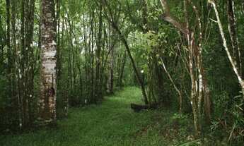 Imagem: TERRENO RURAL em Bocaina de Minas - MG
