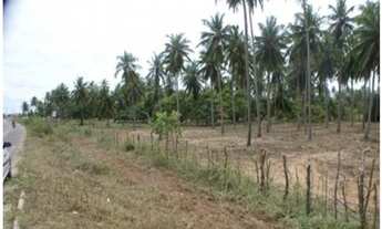 Imagem 2: TERRENO RESIDENCIAL em SÃO MIGUEL DE TOUROS - RN, PRAIA DO SANTO CRISTO