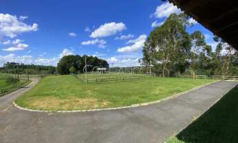 Imagem 4: Magnífico haras para locação em Tijucas do Sul