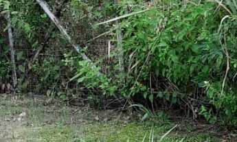 Imagem: Terreno em condomínio fechado, Encontro