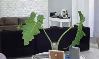 Imagem 2: Casa alto padrão em Lauro de Freitas, 1.000m² área total, 5/4, fino acabamento, 5 suítes