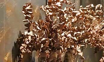 Imagem 4: Vale Do Loire 328m², suíte master com closet, 4 suítes, climatizado, finamente decorado, f