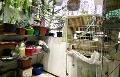 Imagem 10: Pituba 62m², 2 quartos, móveis planejados, sala, cozinha, varanda no quarto, nascente, áre