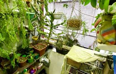 Imagem 9: Pituba 62m², 2 quartos, móveis planejados, sala, cozinha, varanda no quarto, nascente, áre