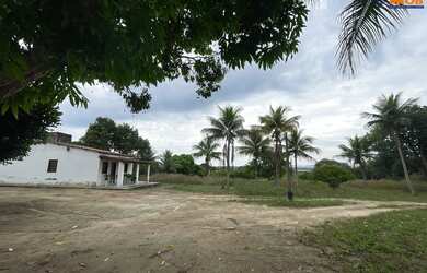 Imagem 5: Terreno no Sim, para Venda, na Av. Nóide Cerqueira, Área Total de 6.068,78 m², em Feira de