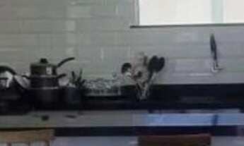 Imagem 4: Casa residencial para Venda no condomínio Bela vista, Coqueiros de Arembepe, Camaçari 4 qu