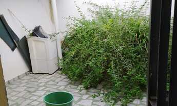 Imagem 4: Casa no Centro, 1 Quarto, Área de Serviço, para Venda, em Via Pública, em Itaberaba, Área