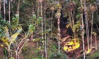 Imagem 2: CASA RESIDENCIAL em UBATUBA - SP, UBATUMIRIM