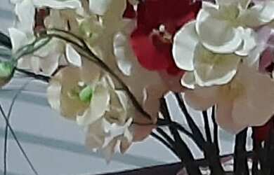 Imagem 4: SOBRADO RESIDENCIAL em SÃO PAULO - SP, PARQUE MARIA DOMITILA