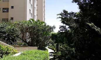 Imagem 2: APARTAMENTO RESIDENCIAL em SÃO PAULO - SP, PARQUE MARIA DOMITILA