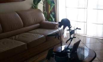 Imagem 4: APARTAMENTO RESIDENCIAL À VENDA, PIRITUBA, SÃO PAULO