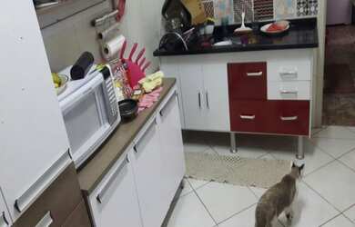 Imagem 10: APARTAMENTO RESIDENCIAL À VENDA, LIBERDADE, SÃO PAULO - AP0409