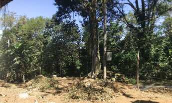 Imagem 5: Terreno em Coroa Grande - Itaguaí