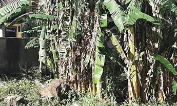 Imagem 7: Terreno no condomínio Solar de Itacuruçá