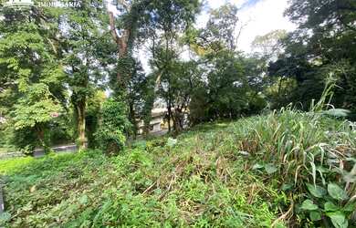 Imagem 6: Terrenos com vista para o mar próximo ao Centro de Mangaratiba