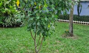 Imagem 5: Casa Linear no Centro de Itacuruçá a dois minutos a pé da Praia