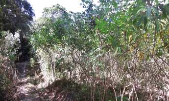 Imagem 4: Terreno plano em Santa Cândida - Itaguaí/RJ