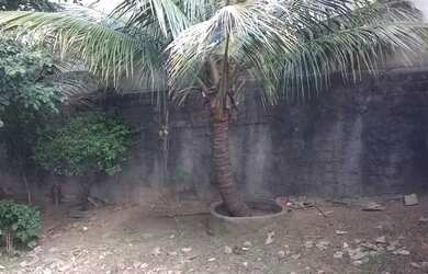 Imagem 3: TERRENO RESIDENCIAL em SÃO PAULO - SP, VILA PRIMAVERA